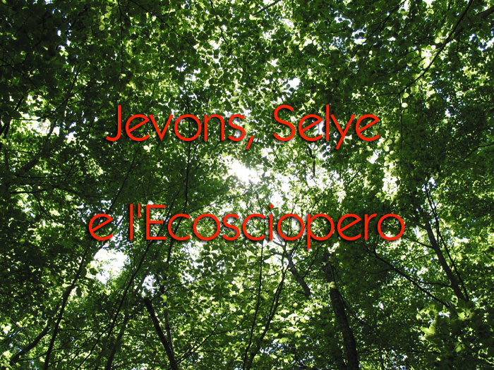 Prego, accomodatevi!